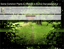 Tablet Screenshot of bnplantsandanimals.blogspot.com