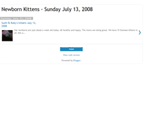 Tablet Screenshot of july132008kittens.blogspot.com