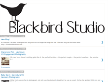 Tablet Screenshot of blackbirdstudiowv.blogspot.com