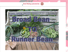 Tablet Screenshot of broadbeantorunnerbean.blogspot.com