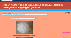 Desktop Screenshot of kefirgomba.blogspot.com