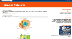 Desktop Screenshot of naturalesisfd95.blogspot.com