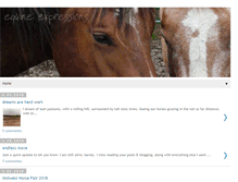 Tablet Screenshot of equineexpressions.blogspot.com