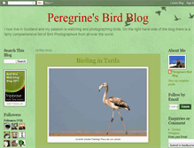 Tablet Screenshot of peregrinesbirdblog.blogspot.com