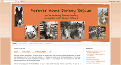 Desktop Screenshot of foreverhomedonkeyrescue.blogspot.com