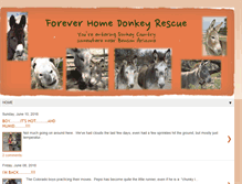 Tablet Screenshot of foreverhomedonkeyrescue.blogspot.com