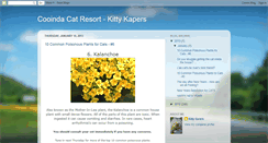 Desktop Screenshot of cooindacatresort.blogspot.com