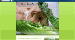 Desktop Screenshot of adoptaguineapig.blogspot.com