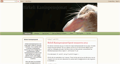 Desktop Screenshot of birkeli.blogspot.com