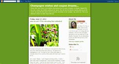 Desktop Screenshot of champagnewishesandcoupondreams.blogspot.com