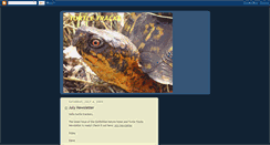 Desktop Screenshot of earthshineturtletracks.blogspot.com