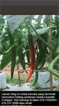Mobile Screenshot of cilifertigasi-habenariagrow.blogspot.com