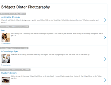 Tablet Screenshot of bridgettdinter.blogspot.com