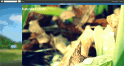 Desktop Screenshot of meleskiwildlife.blogspot.com