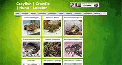 Desktop Screenshot of crayfishgalery.blogspot.com