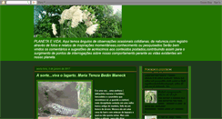 Desktop Screenshot of mariaterezabedinmaneck.blogspot.com