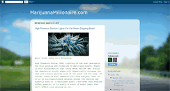 Desktop Screenshot of marijuanamillionairecom.blogspot.com