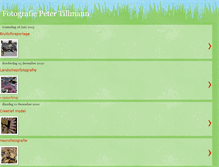 Tablet Screenshot of petertillmann.blogspot.com