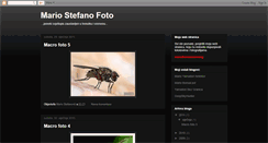 Desktop Screenshot of mariostefanofoto.blogspot.com