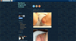 Desktop Screenshot of northernvirginiabicurious.blogspot.com