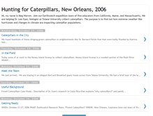 Tablet Screenshot of caterpillarteam.blogspot.com
