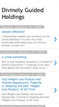 Mobile Screenshot of divinelyguidedholdings.blogspot.com