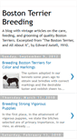 Mobile Screenshot of boston-terrier-breeding.blogspot.com