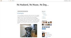 Desktop Screenshot of nohusbandnohousenodog.blogspot.com