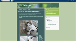 Desktop Screenshot of onebigadventure777.blogspot.com