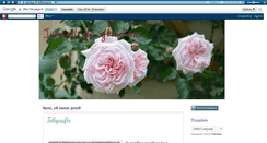 Desktop Screenshot of jurnaldegradina.blogspot.com