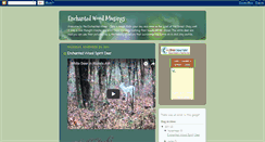 Desktop Screenshot of enchantedwoodmusings.blogspot.com