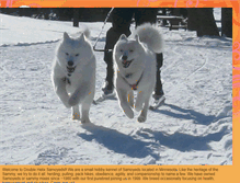 Tablet Screenshot of doublehelixsamoyeds.blogspot.com