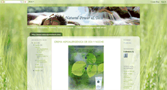 Desktop Screenshot of naturalpowertech.blogspot.com