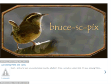 Tablet Screenshot of brucescpix.blogspot.com