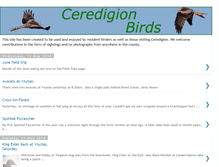 Tablet Screenshot of ceredigionbirds33.blogspot.com
