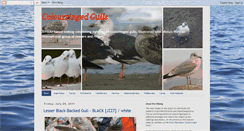 Desktop Screenshot of colourringedgulls.blogspot.com