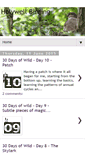 Mobile Screenshot of holywellbirding.blogspot.com