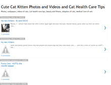 Tablet Screenshot of cutest-cats.blogspot.com