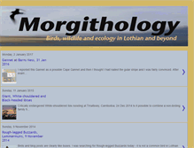 Tablet Screenshot of morgithology.blogspot.com
