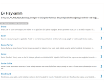 Tablet Screenshot of evhayvanim.blogspot.com