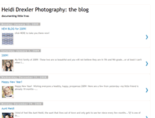 Tablet Screenshot of heididrexlerblog.blogspot.com