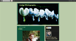 Desktop Screenshot of indigidesigns.blogspot.com