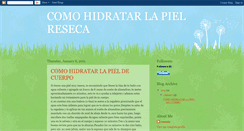 Desktop Screenshot of comohidratarlapielreseca.blogspot.com