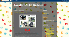 Desktop Screenshot of bordercollierescueitaly.blogspot.com