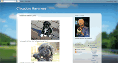 Desktop Screenshot of chicadorohavanese.blogspot.com