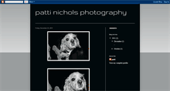 Desktop Screenshot of pattinicholsphotography.blogspot.com