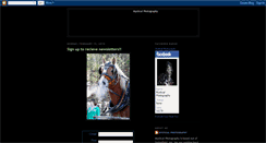 Desktop Screenshot of mysticalphoto.blogspot.com