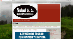 Desktop Screenshot of nubalsa.blogspot.com