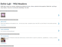 Tablet Screenshot of dzikielaki.blogspot.com