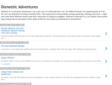 Tablet Screenshot of domesticadventures2tday.blogspot.com
